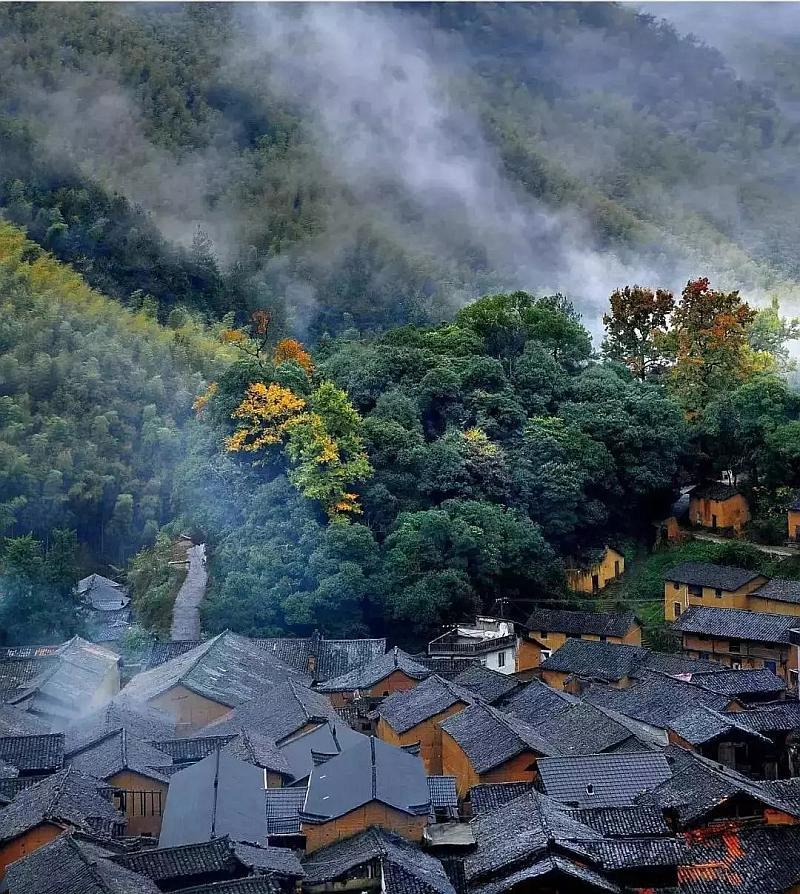 《幻兽帕鲁》继续出新角色说明
