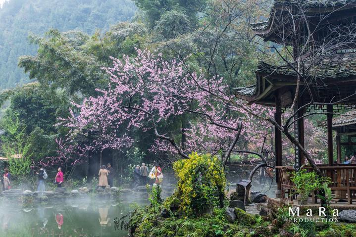 小猫钓鱼游戏龙王版有船