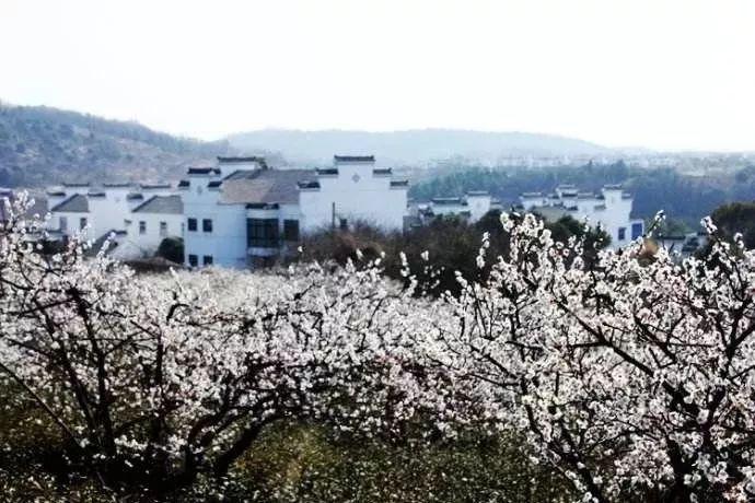公主权力游戏换装