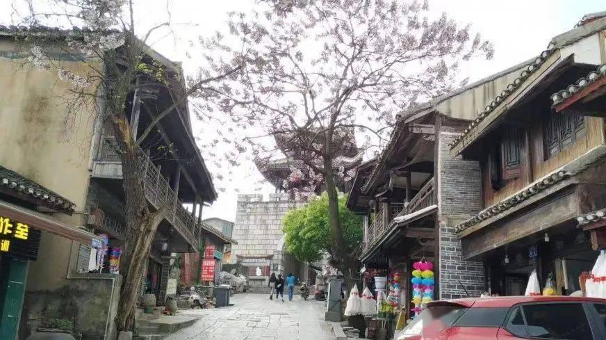 小猫钓鱼游戏龙王版有船