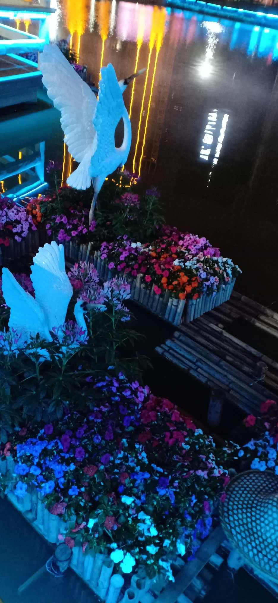 造物法则